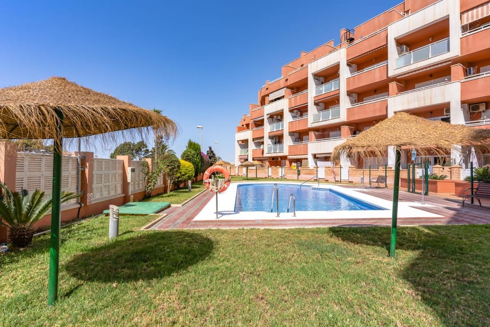 Patio, Day, Garden, Garden view, Pool view, Swimming pool