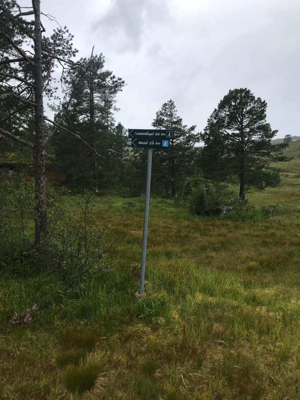Hardanger Camping Allhovden Mountain & fjord Campground/ 
RV Resort in Vestland