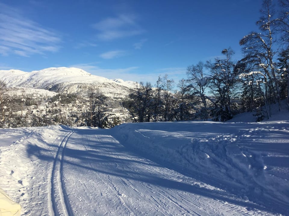 Hardanger Camping Allhovden Mountain & fjord Campground/ 
RV Resort in Vestland