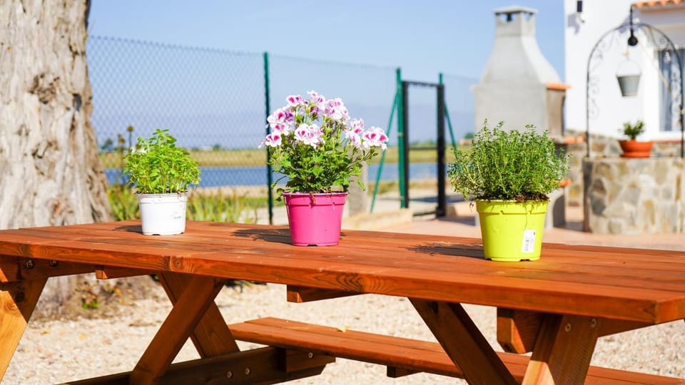 Patio, Spring, Day, Natural landscape, Garden, View (from property/room), Balcony/Terrace, Dining area, Garden view