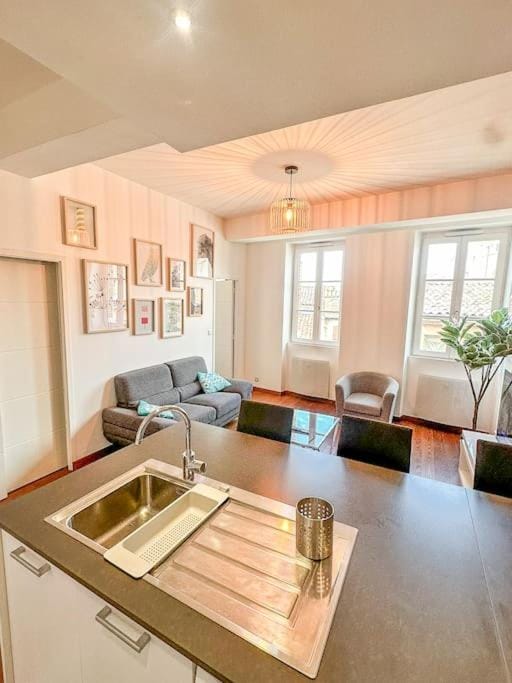 Belle vue à Saint-Cyprien-Parking-Hyper Centre Apartment in Toulouse