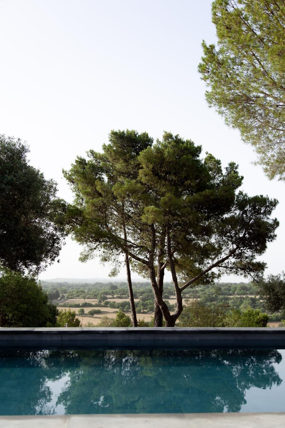 Natural landscape, Pool view, Swimming pool
