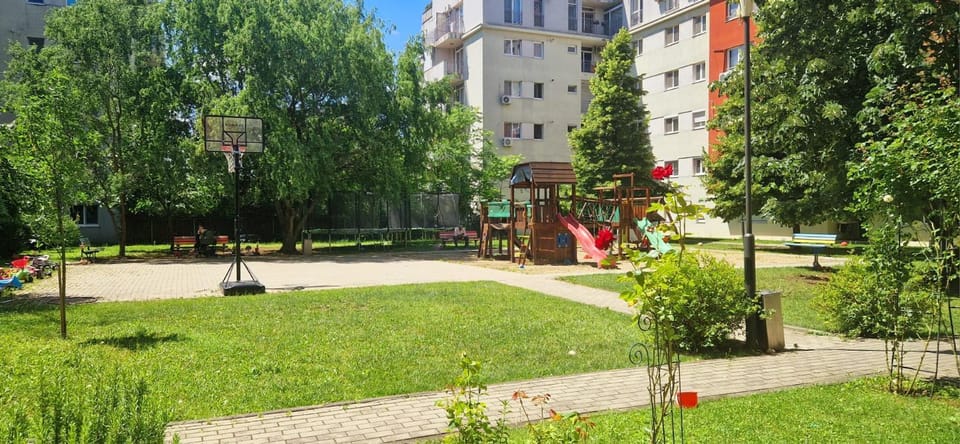 Spring, Day, Natural landscape, Children play ground, Garden, Evening entertainment, Garden view