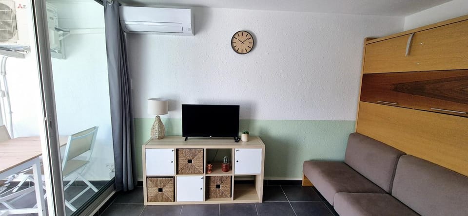 TV and multimedia