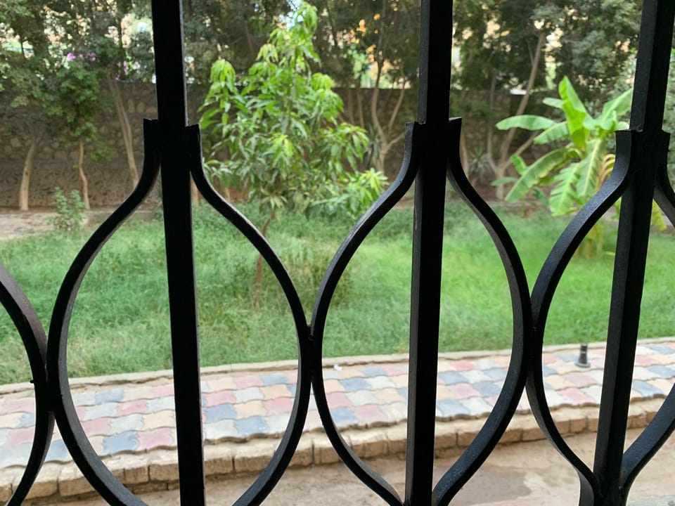 Patio, Day, Garden, View (from property/room), Balcony/Terrace, Garden view