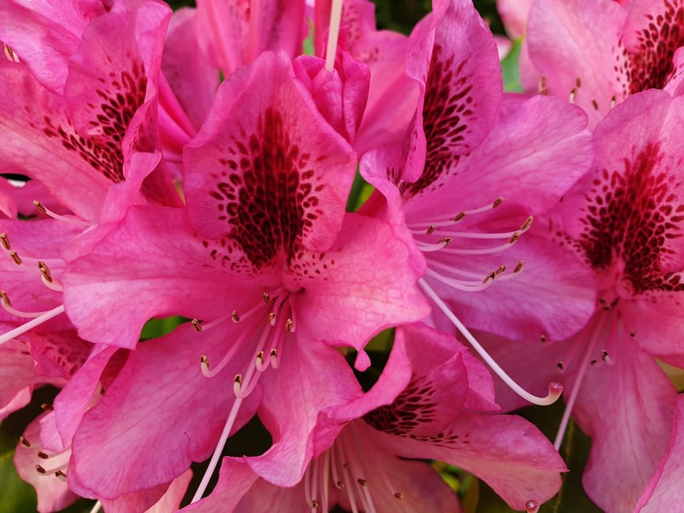 Villa Bajocasse beautiful charming house Villa in Bayeux