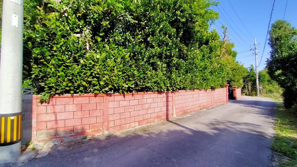 Property building, Day, Neighbourhood, Street view