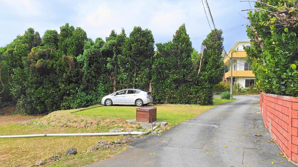 Property building, Neighbourhood, Natural landscape, Street view, Parking