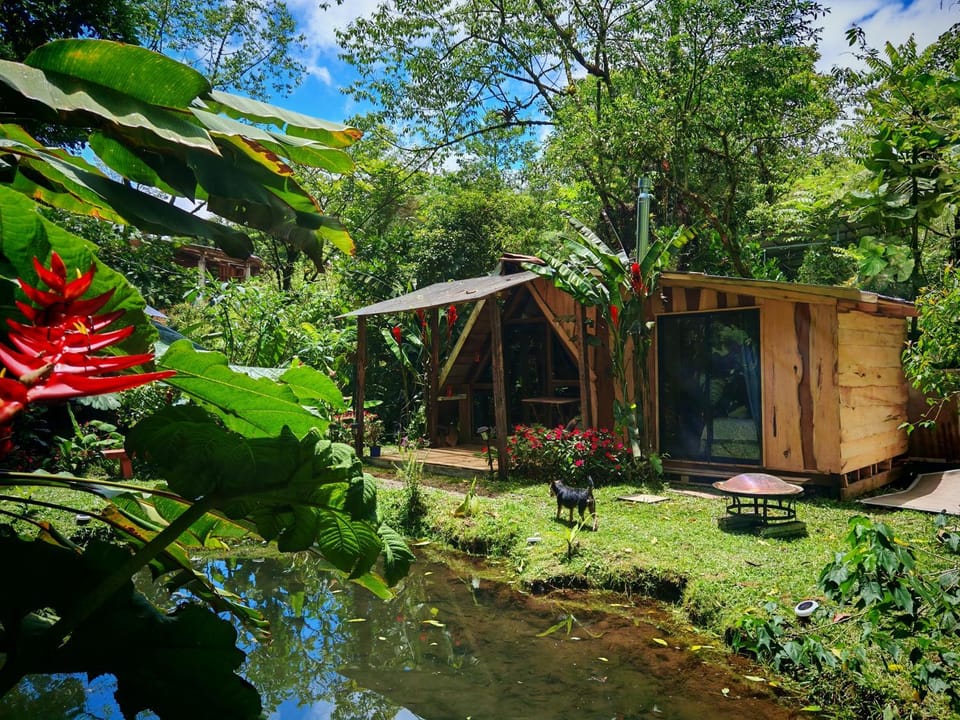 Natural landscape, Garden, Garden view