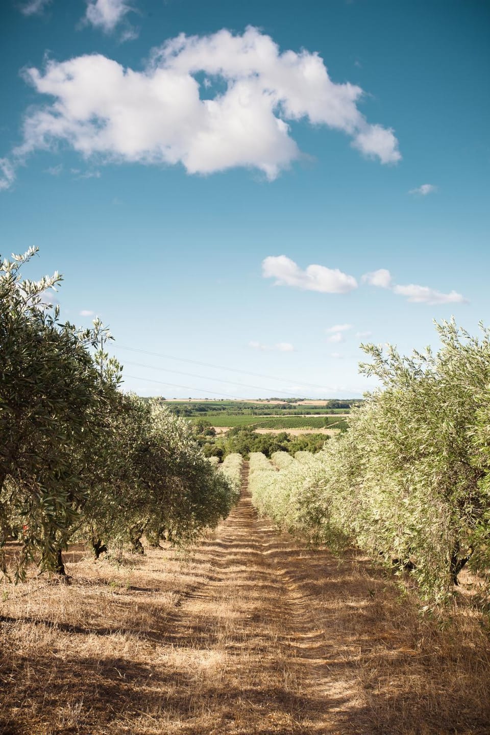 Spring, Natural landscape