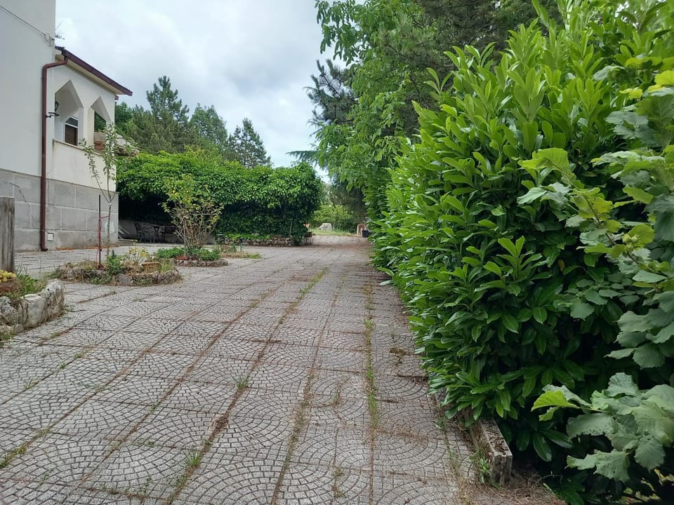 Garden view