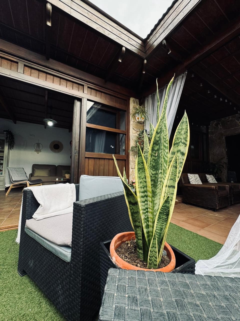 Patio, Garden, Garden view