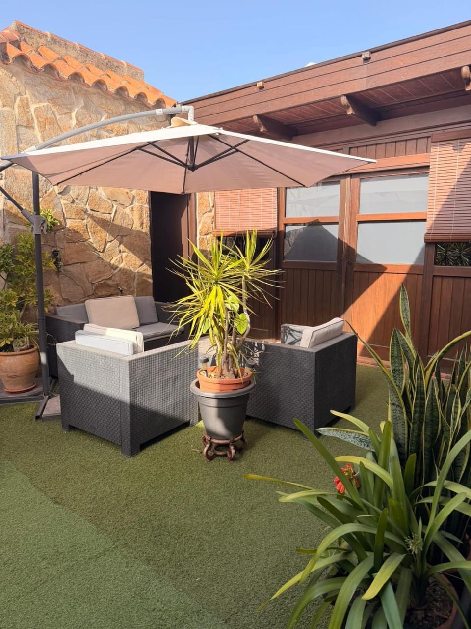 Patio, Day, Garden