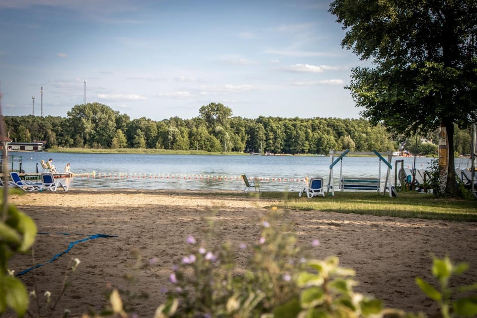 Lake view