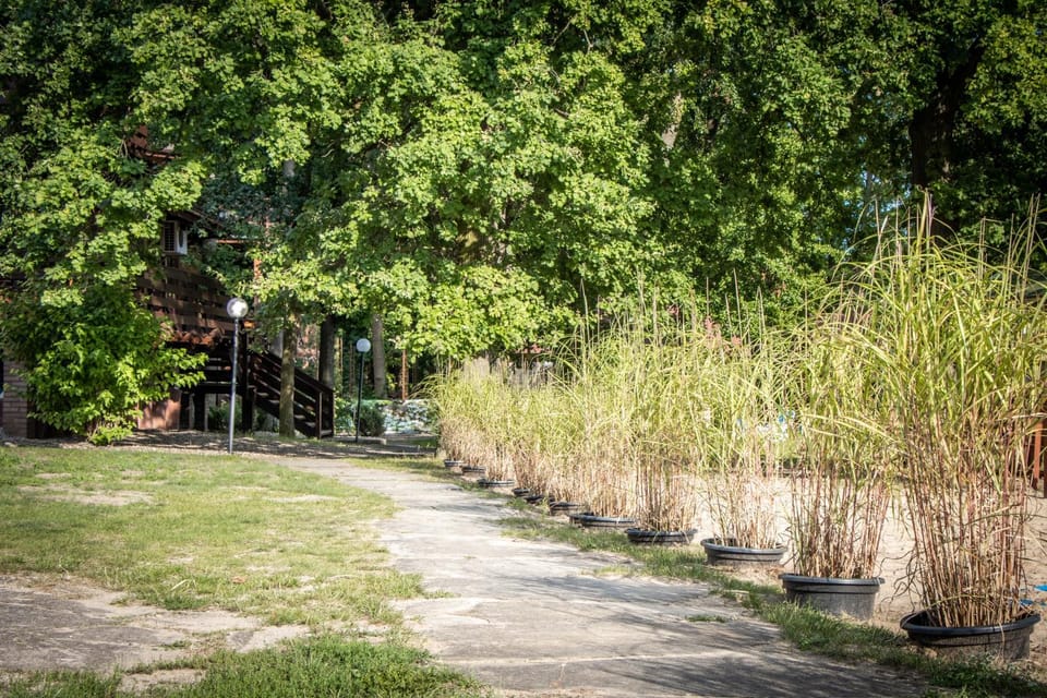 Natural landscape, Garden