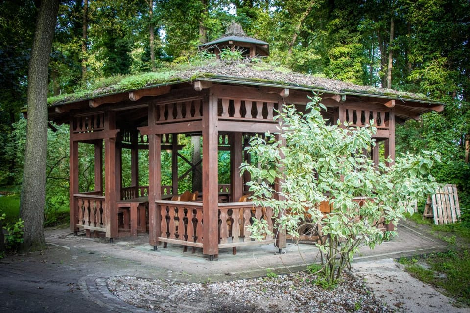 Natural landscape, Garden, Garden view