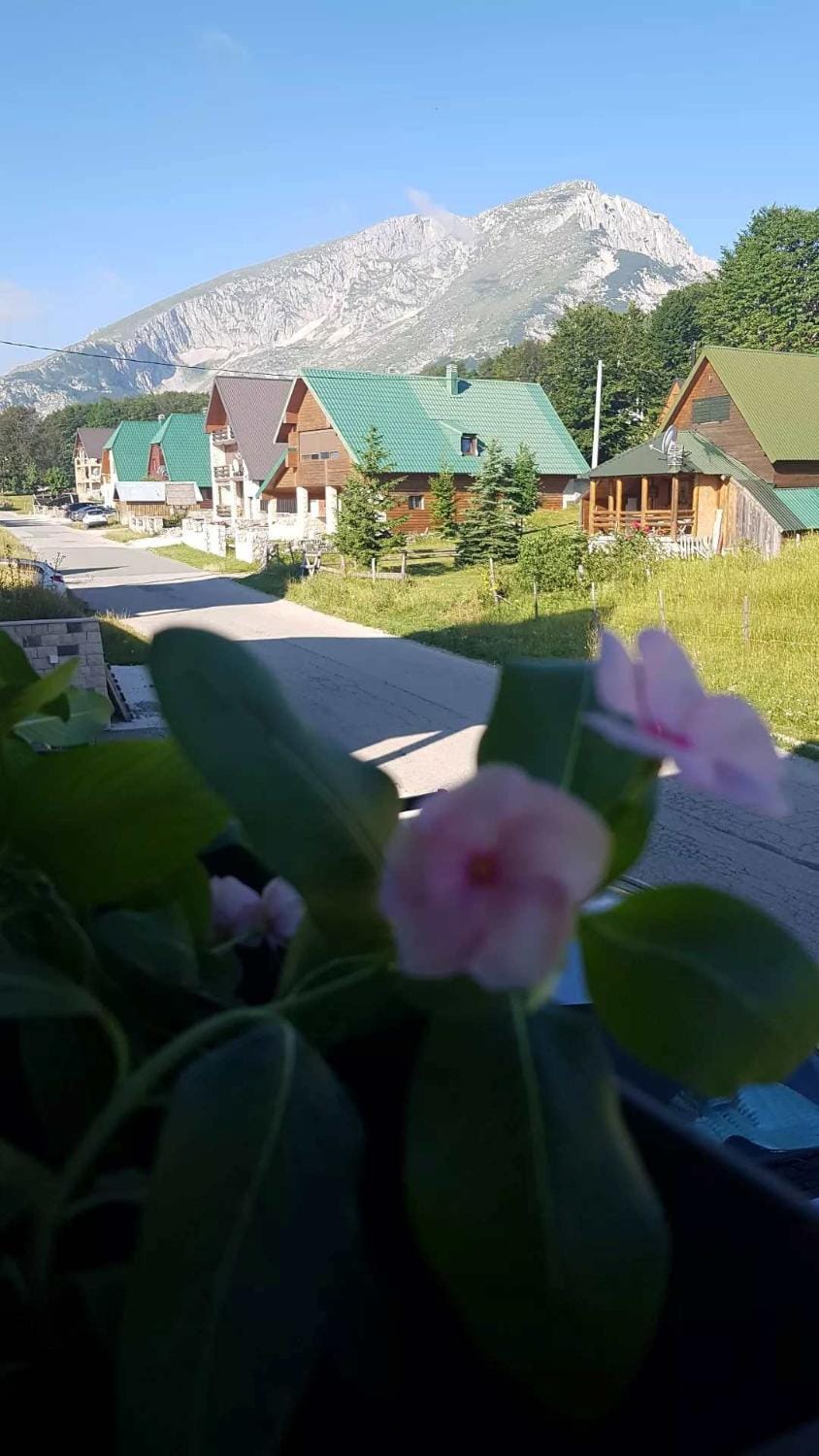 Mountain view