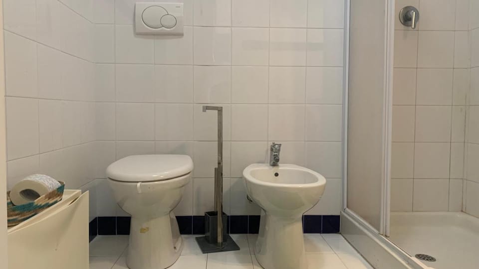 Shower, Toilet, Bathroom, bidet
