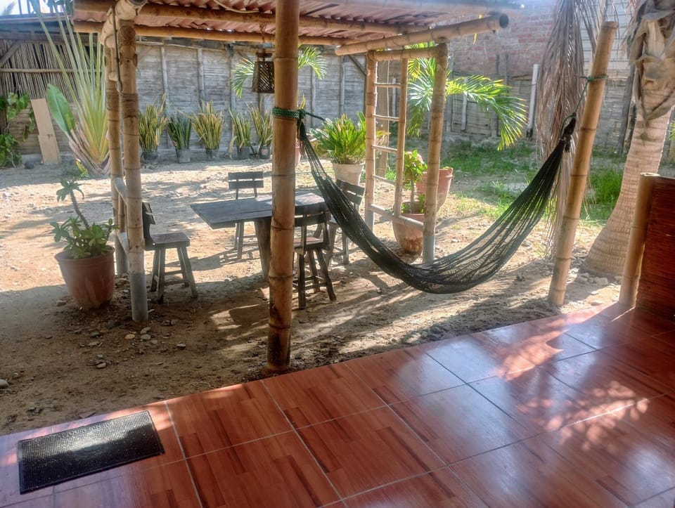 Garden view