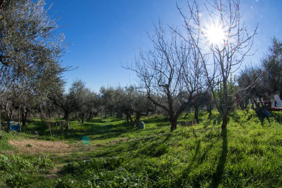 Orion House House in Abruzzo