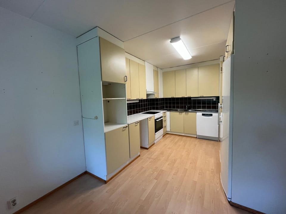 Kitchen or kitchenette, dishwasher, oven, stove