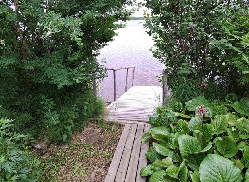 Day, Garden view