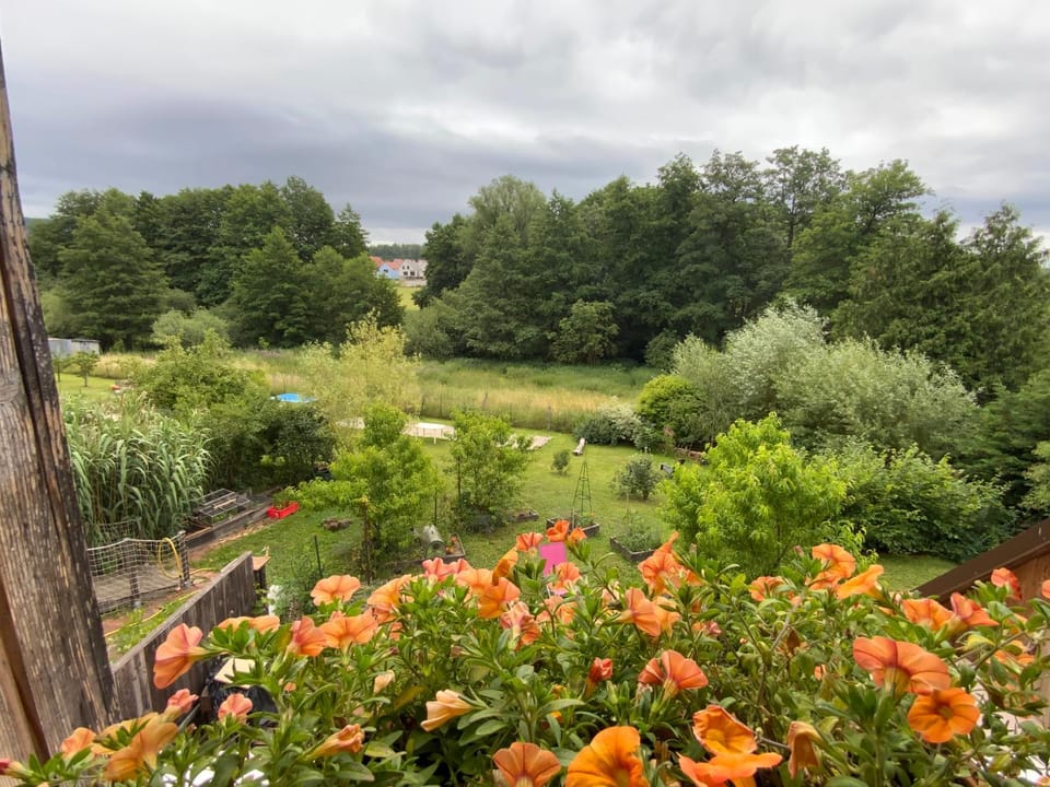 Bedroom, Garden view