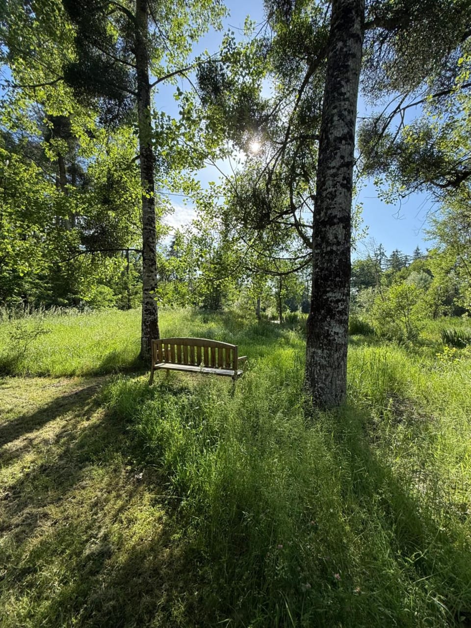 Le refuge de Chambord Chalet in Centre-Val de Loire