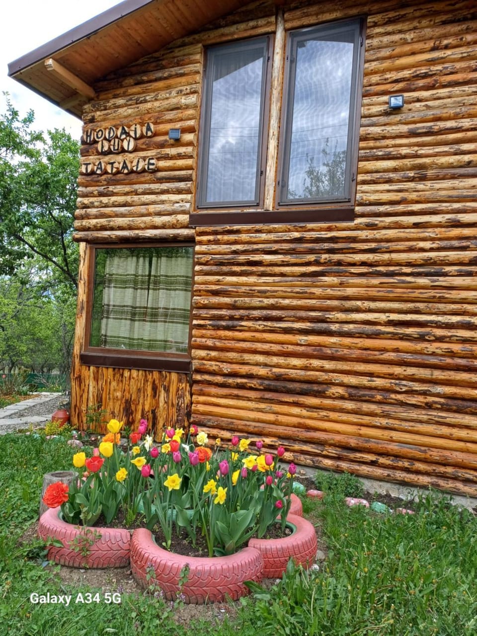 La tataie Nucșoara Campground/ 
RV Resort in Romania