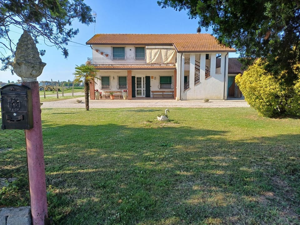 Property building, Garden view