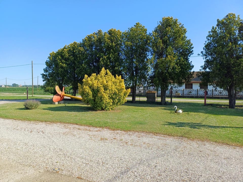 Natural landscape, Garden, Garden view