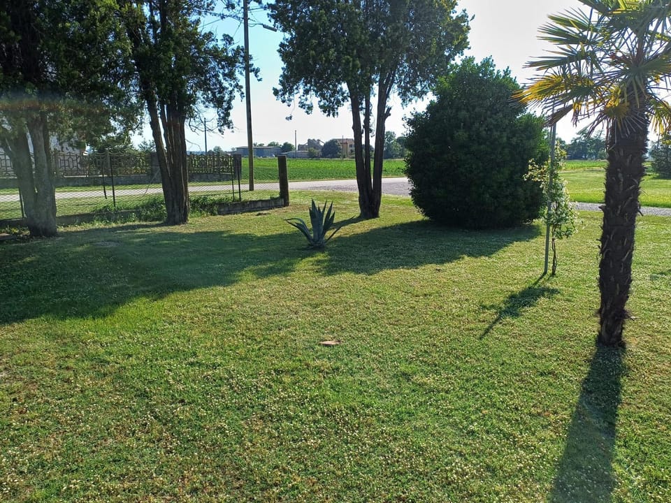 Garden, Garden view