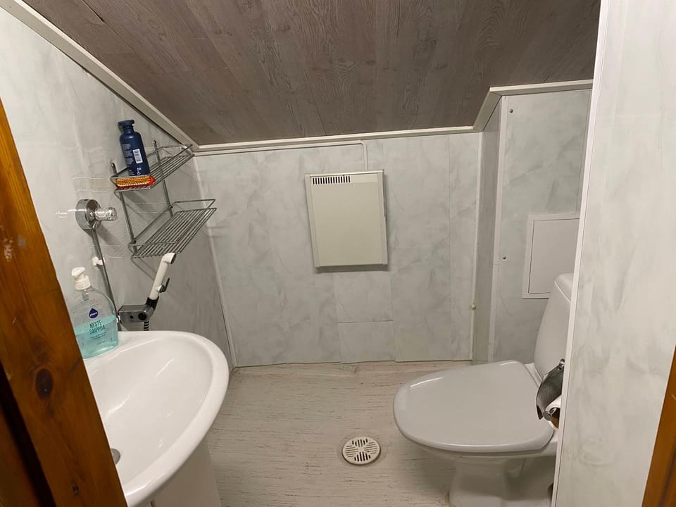 Shower, Toilet