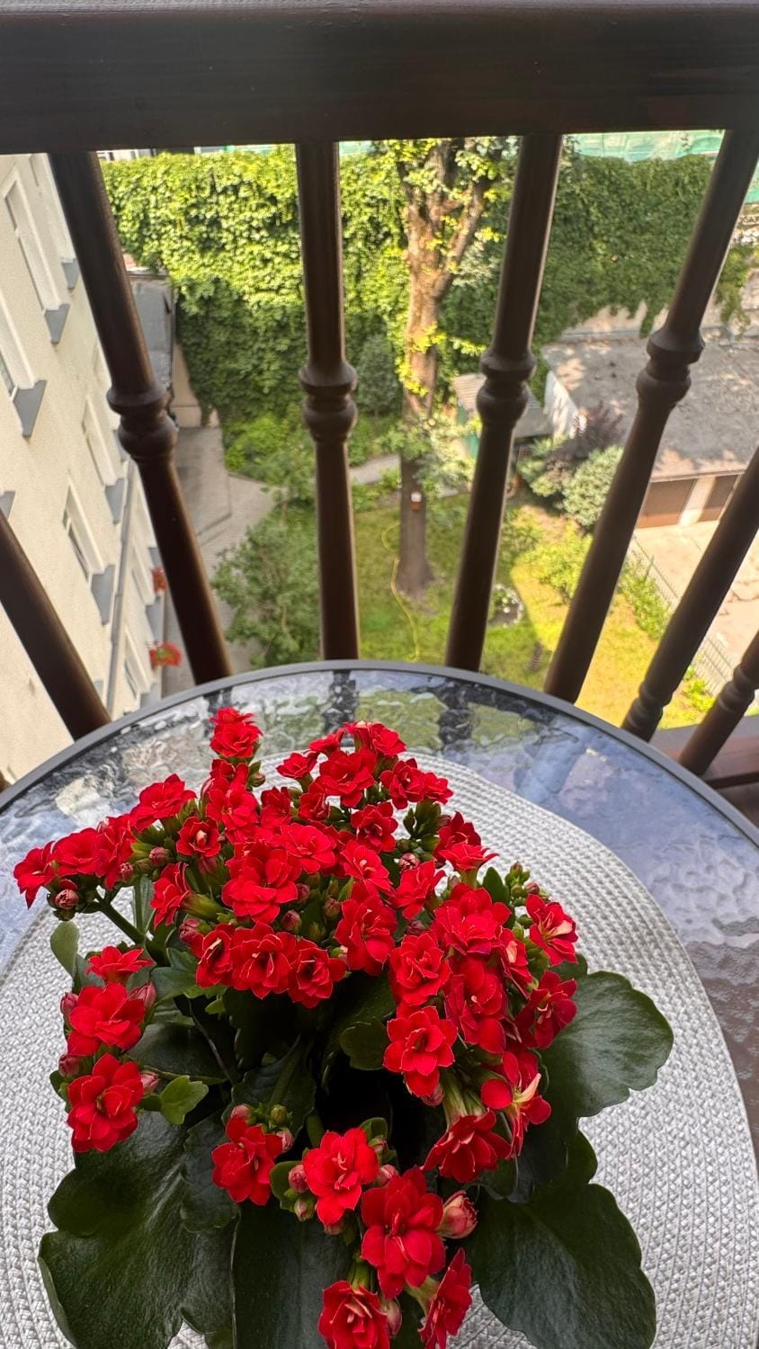 Old Town City Center Apartment Apartment in Krakow