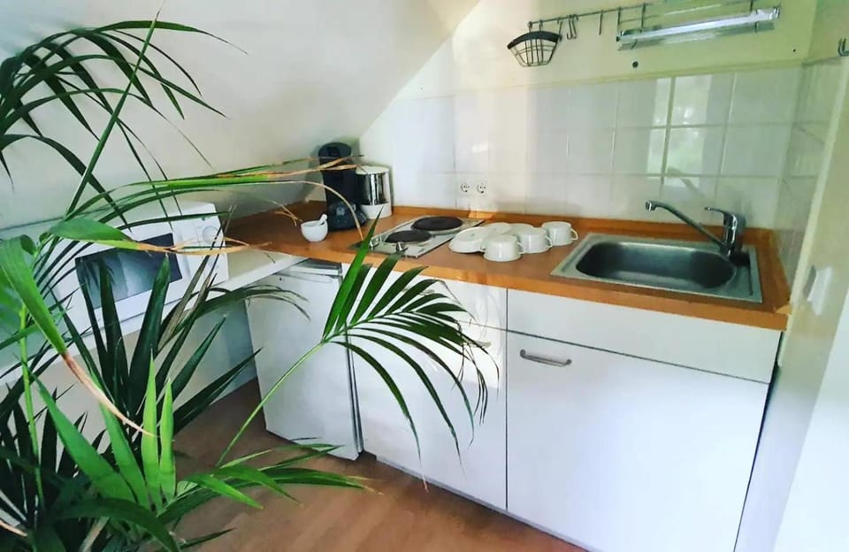 Kitchen or kitchenette, stove