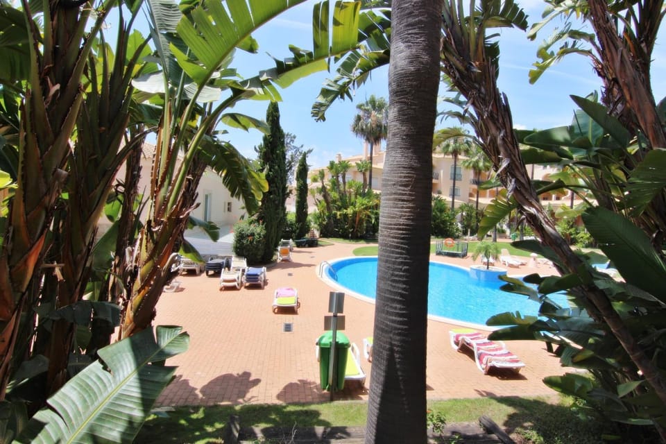 Patio, Garden, Garden view