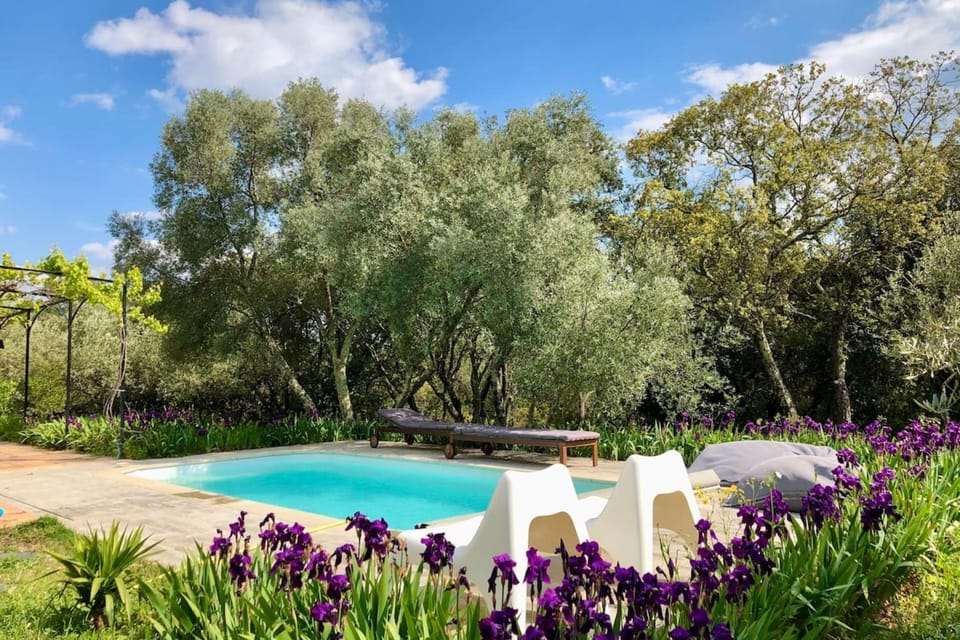 Day, Natural landscape, Garden, Garden view, Pool view, Swimming pool
