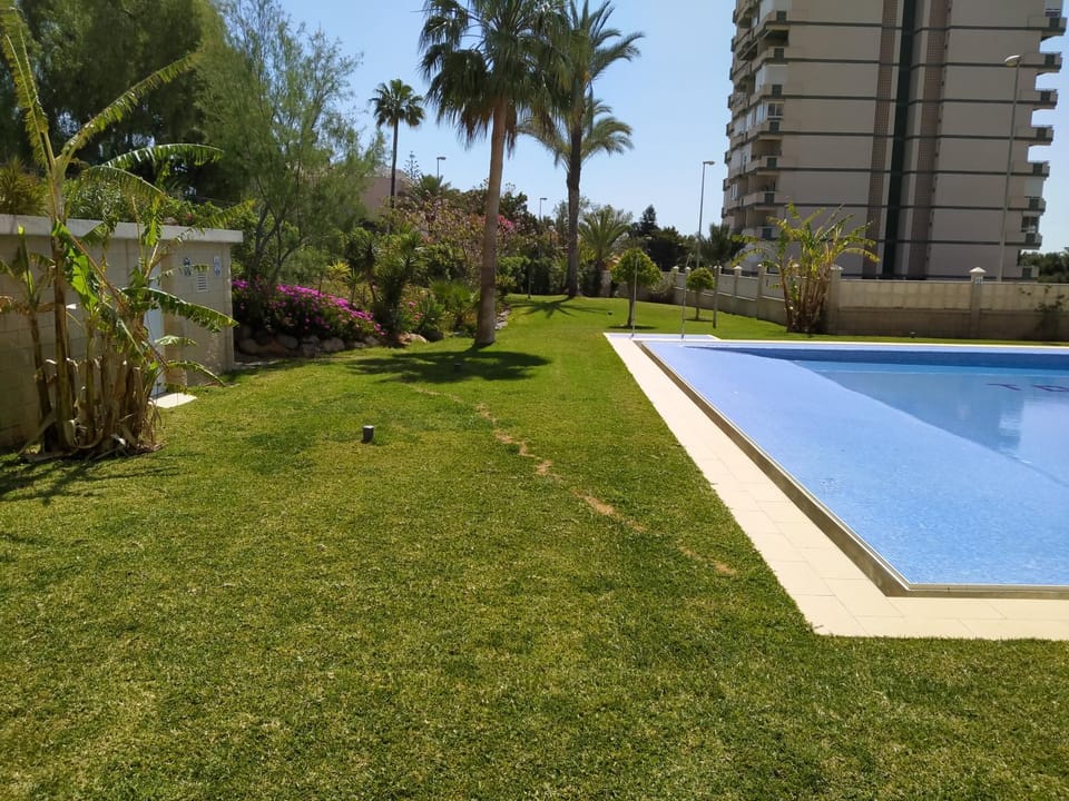 Estudio Paraiso Apartment in Aguadulce