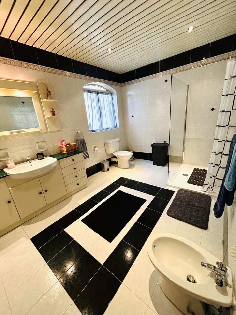 Shower, bidet