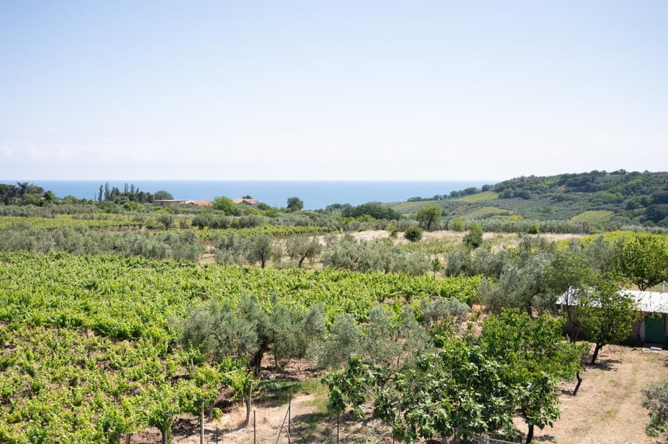 Day, Natural landscape, Sea view
