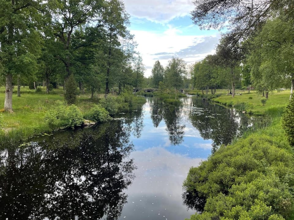 Day, Summer, River view