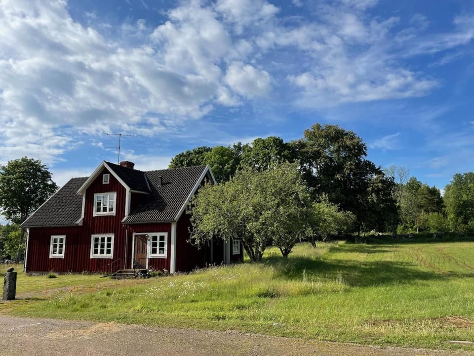 Property building, Day, Natural landscape, Summer, Garden, Garden view
