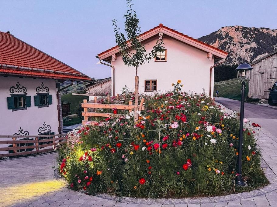 Property building, Garden view, Mountain view