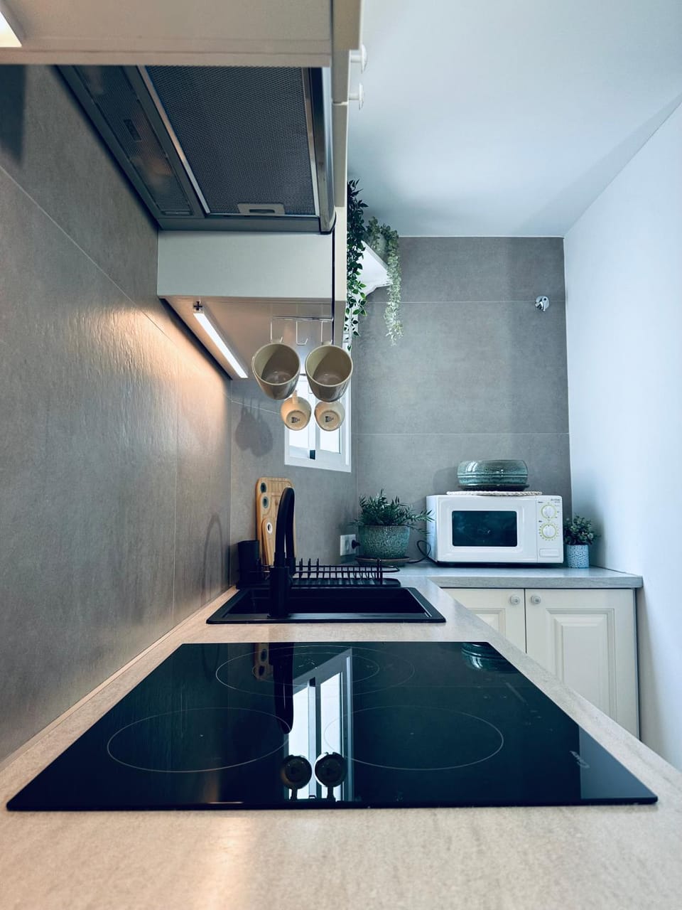 Apart Palm Garden Apartment in Torrevieja