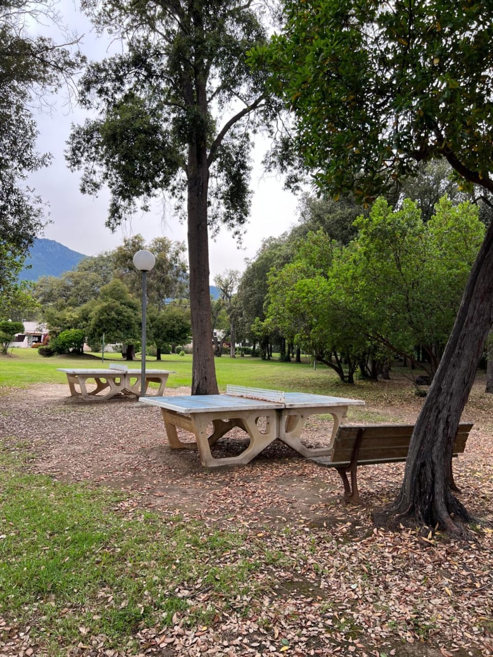 Spring, Day, Natural landscape, Garden, Garden view, Mountain view
