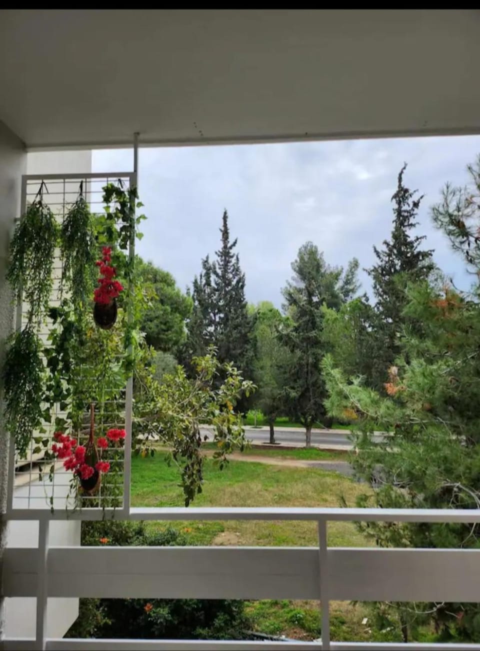 Natural landscape, View (from property/room), Balcony/Terrace, Garden view