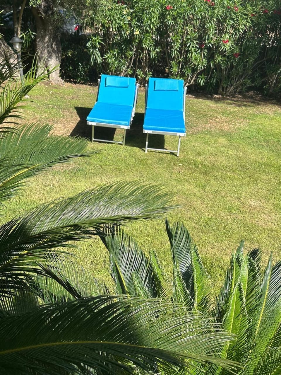 Garden view, sunbed