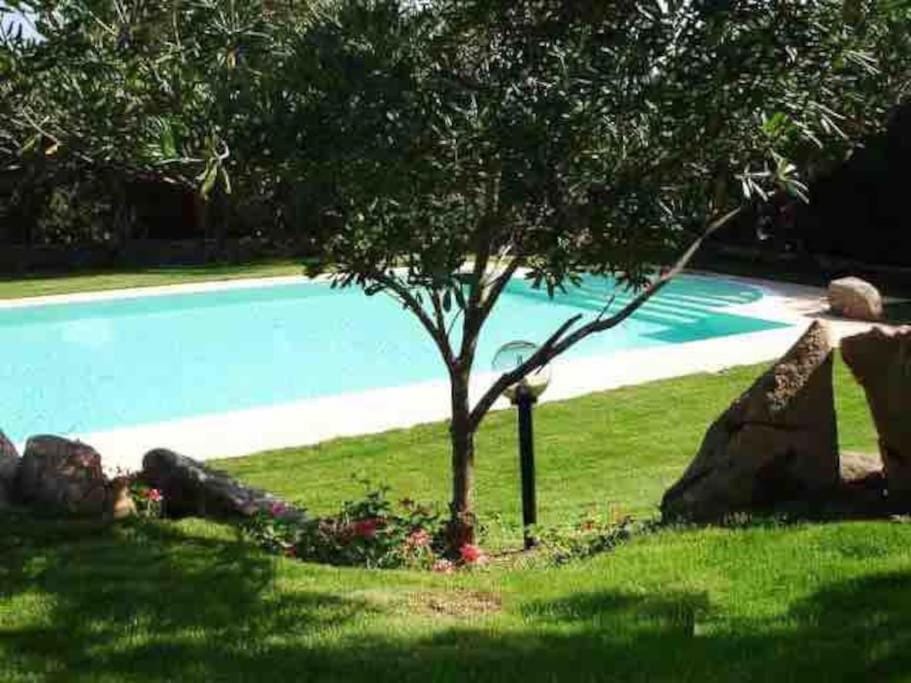 Pool view, Swimming pool