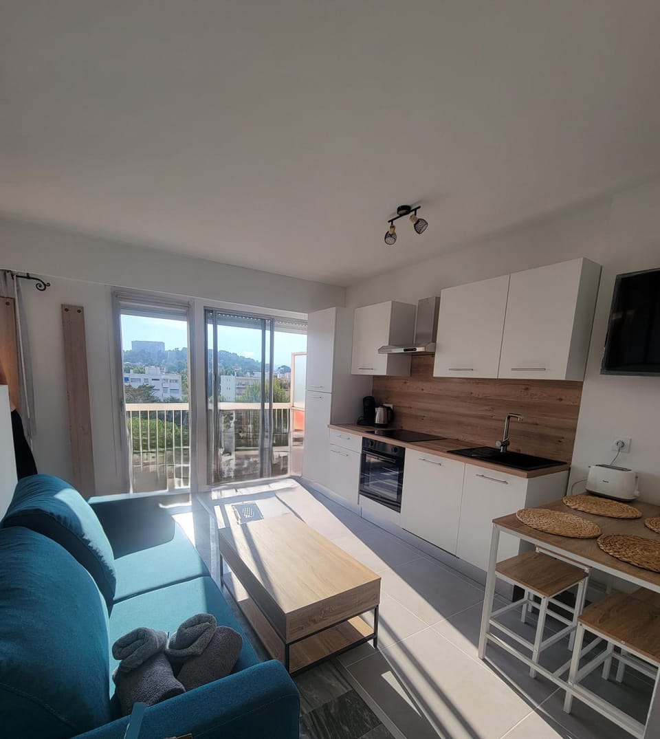 Splendide T2, 200m de la mer, climatisé, parking Apartment in Cagnes-sur-Mer