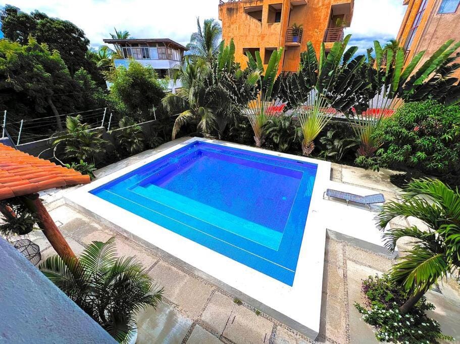 Garden, Garden view, Pool view, Swimming pool, Swimming pool, sunbed